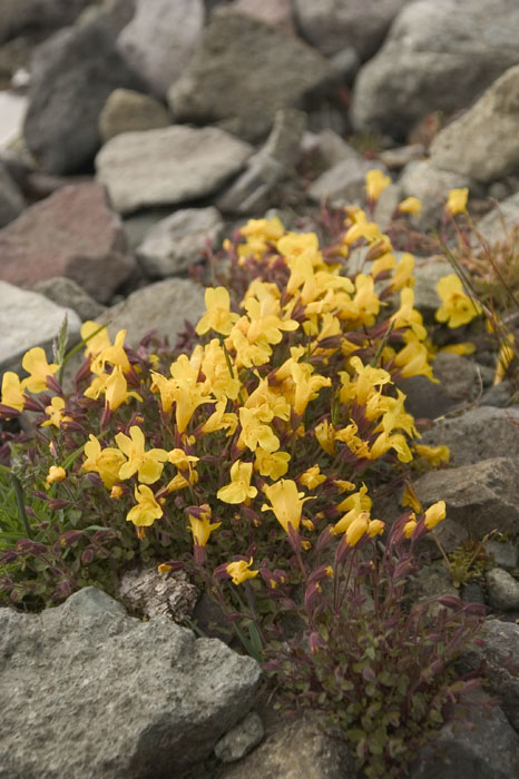CRW_5818